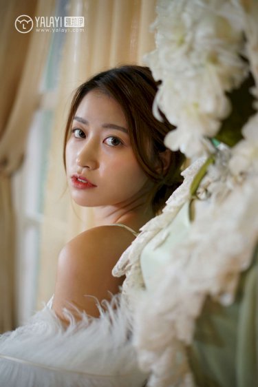 VIDEOSCRIBE在线观看